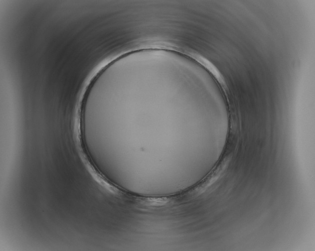 X0000111821144200908201125