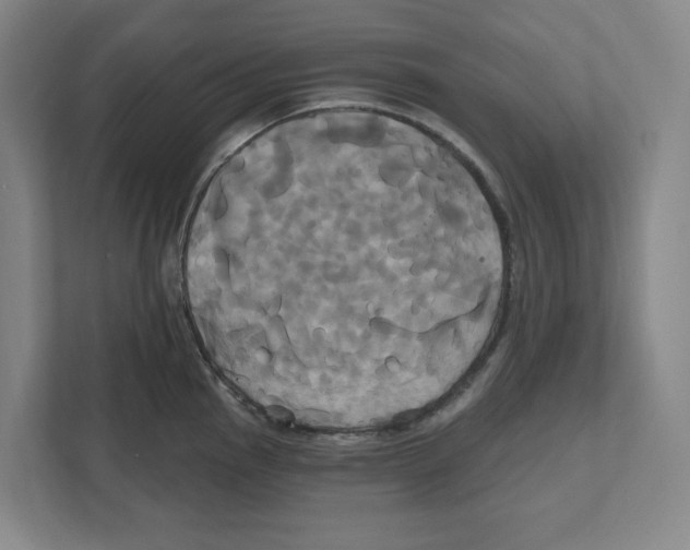 X0000111821145200908201125