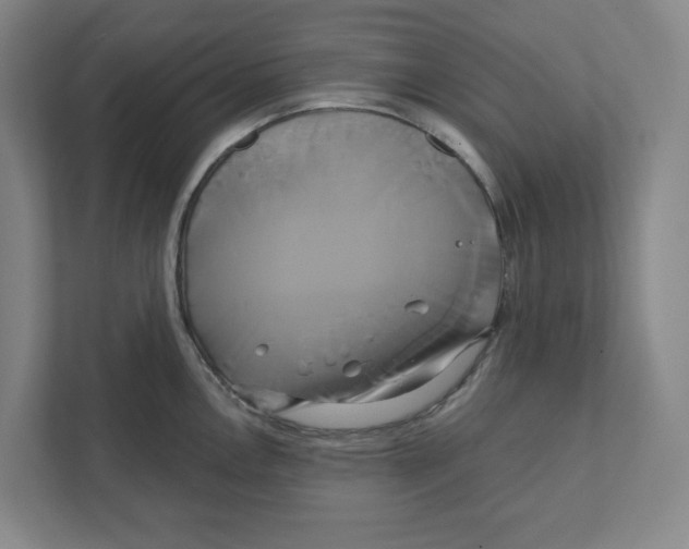 X0000111821146200908201125