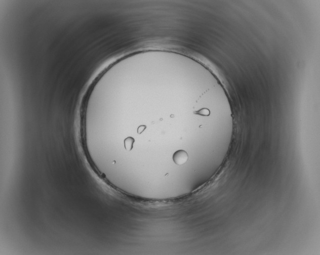 X0000111821147200908201125