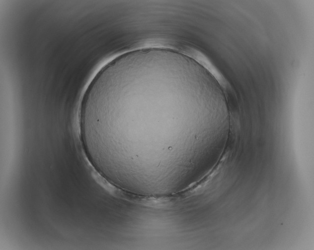 X0000111821148200908201125