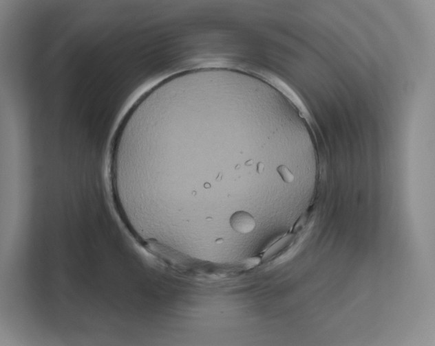 X0000111821149200908201125