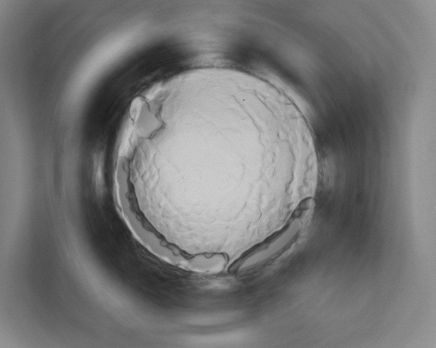 X0000111821150200908201125