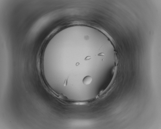 X0000111821151200908201125