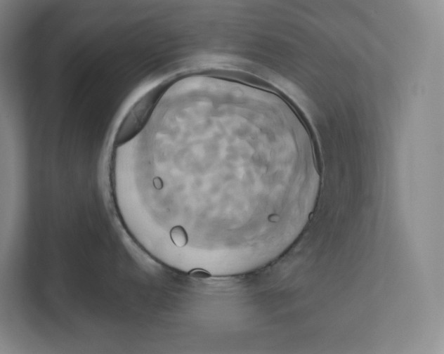 X0000111821152200908201125