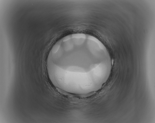 X0000111821153200908201125