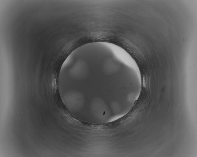 X0000111821155200908201125