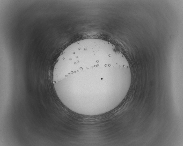 X0000111821156200908201125