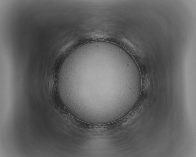 X0000111821157200908201125