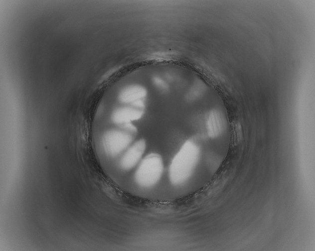 X0000111821158200908201125