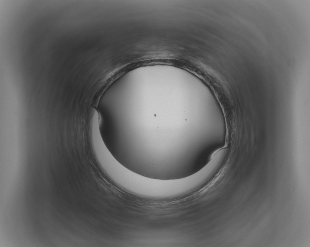 X0000111821161200908201125