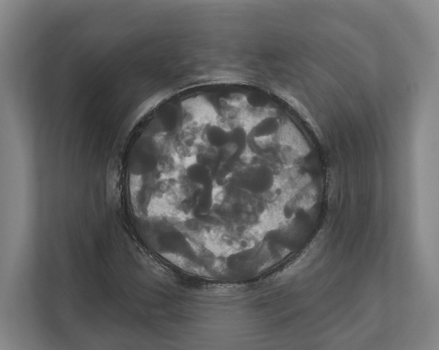 X0000111821163200908201125