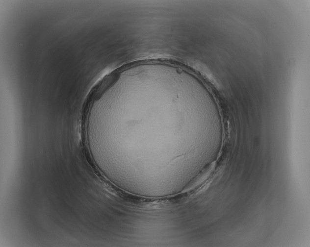 X0000111821165200908201125