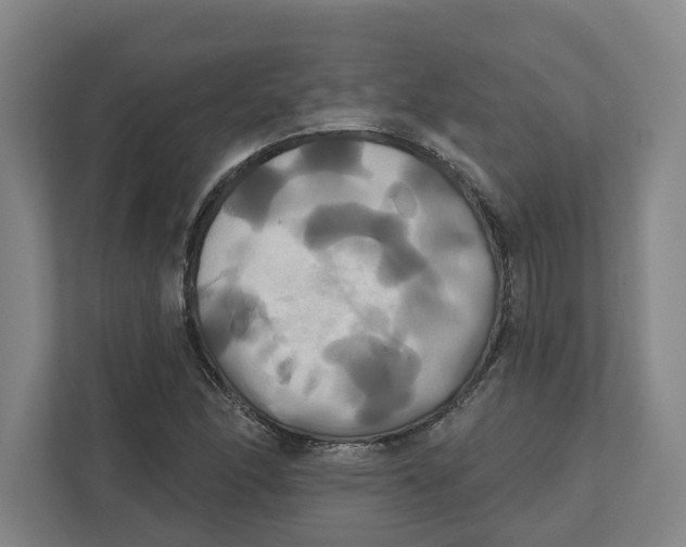 X0000111821166200908201125