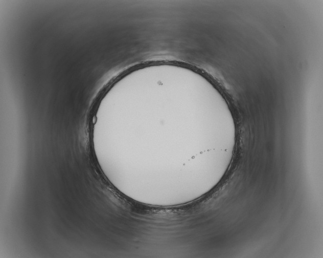 X0000111821167200908201125