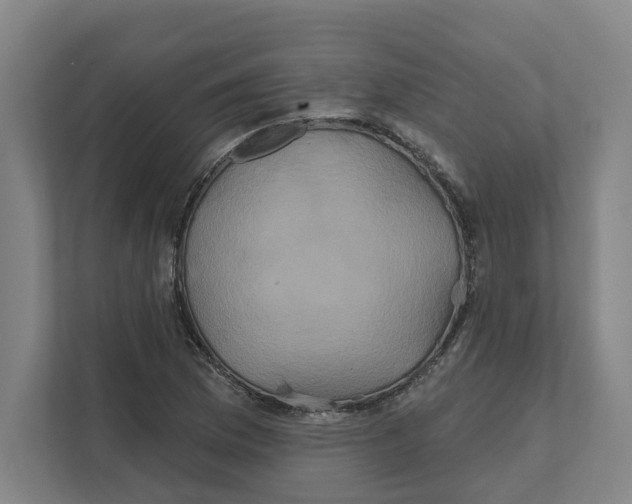 X0000111821169200908201125