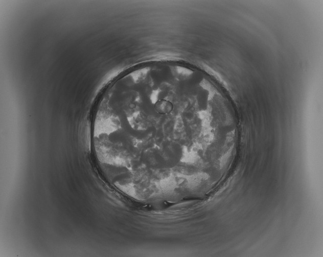 X0000111821171200908201125