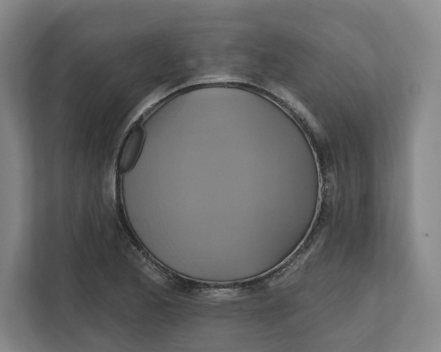 X0000111821173200908201125