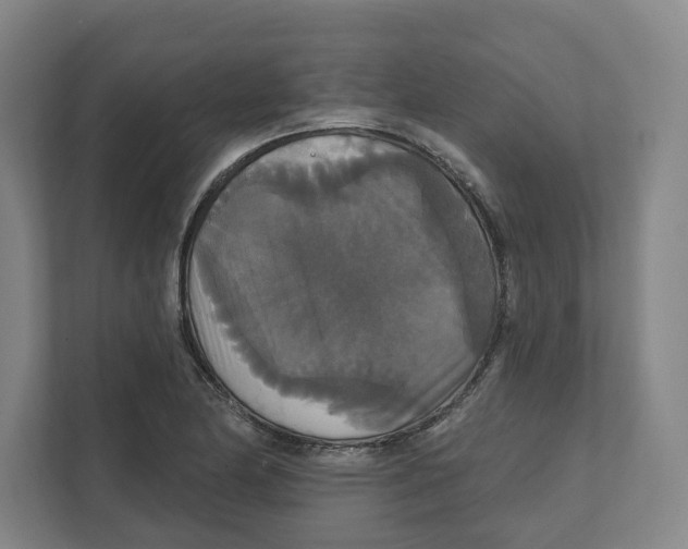 X0000111821174200908201125