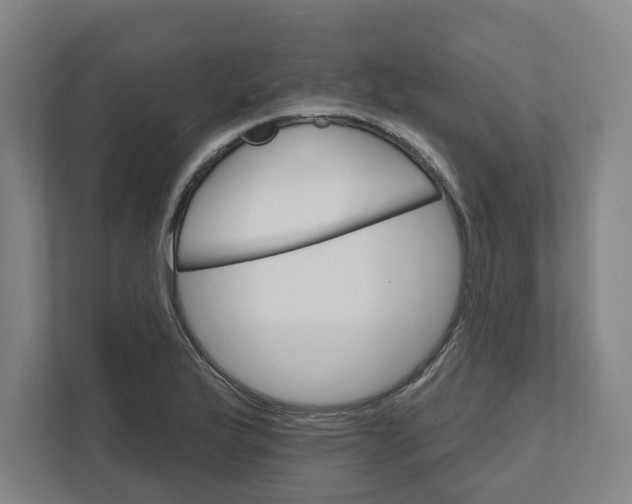 X0000111821175200908201125