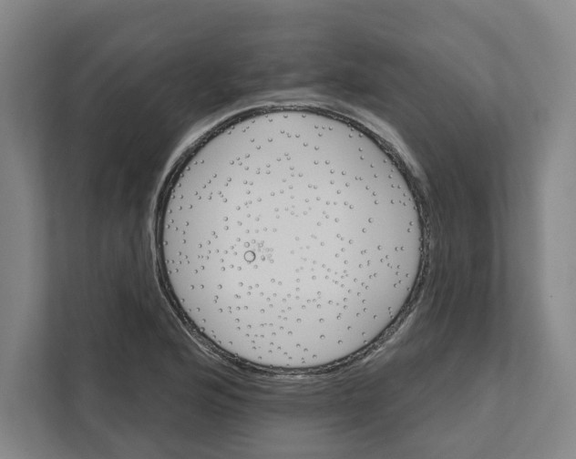 X0000111821176200908201125