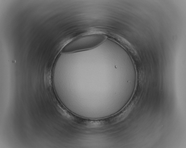 X0000111821177200908201125