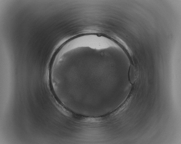 X0000111821179200908201124