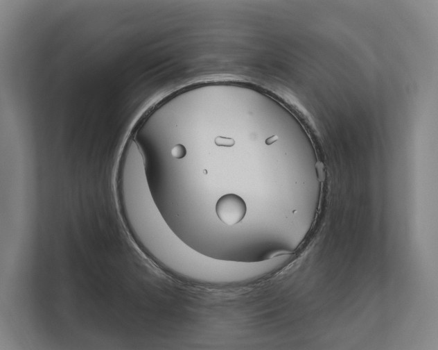 X0000111821181200908201124