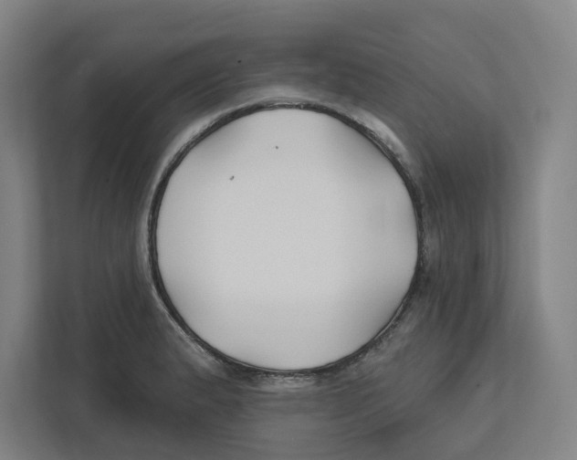 X0000111821183200908201124