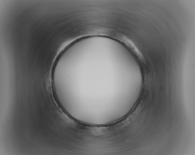 X0000111821184200908201124