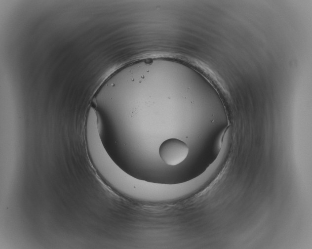 X0000111821185200908201124