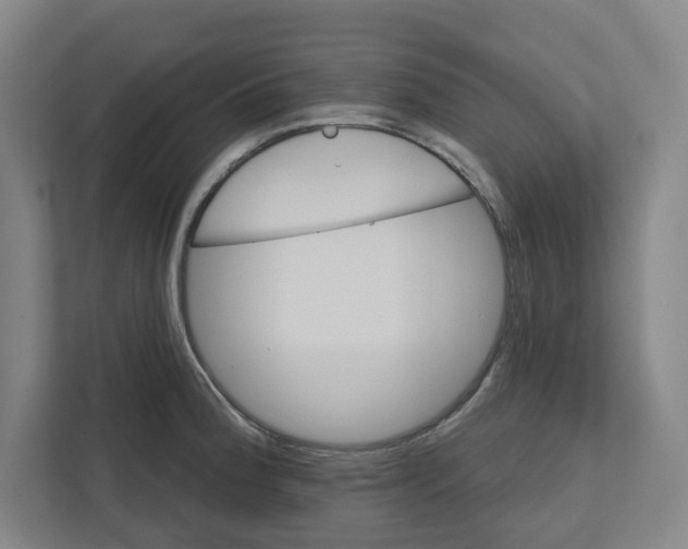 X0000111821188200908201124