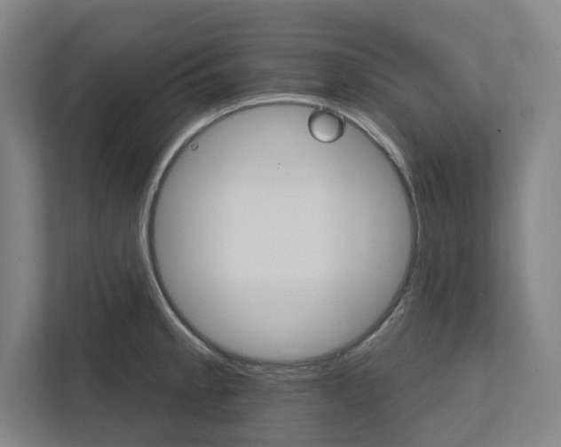 X0000111821189200908201124