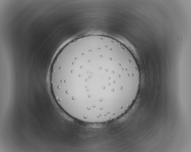 X0000111821190200908201124