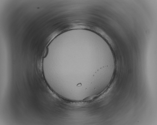 X0000111821193200908201124