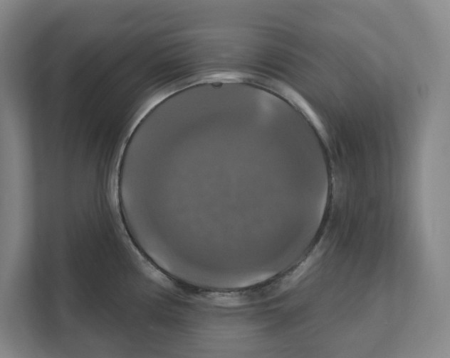 X0000111821194200908201124