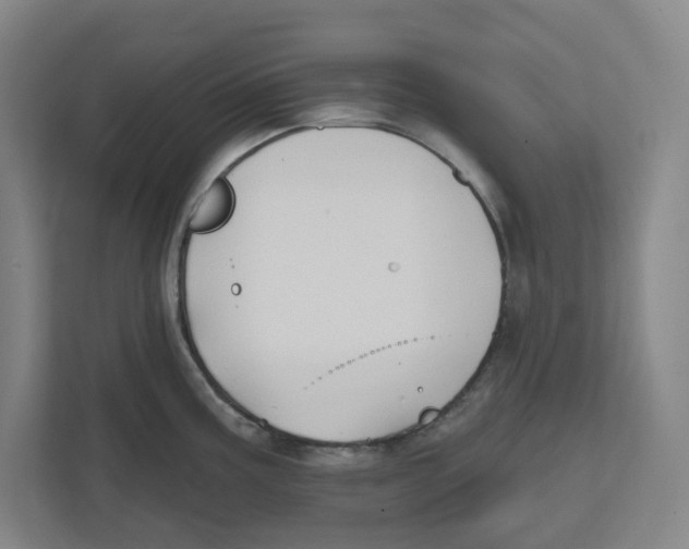 X0000111821195200908201124