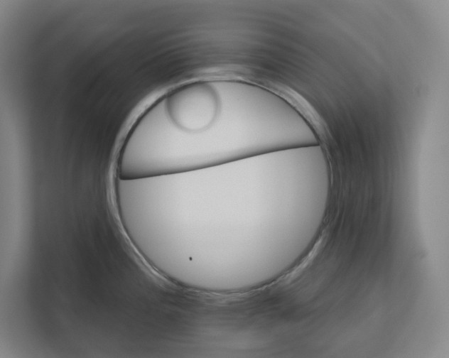 X0000111821196200908201124