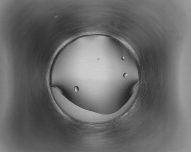 X0000111821197200908201124