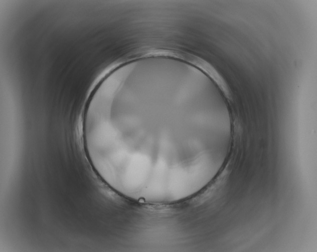 X0000111821198200908201124