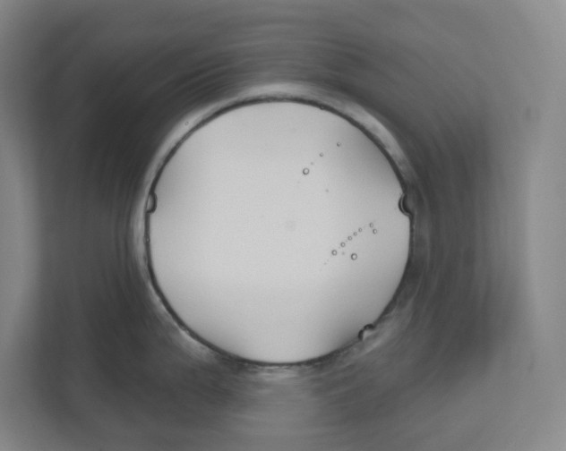 X0000111821199200908201124