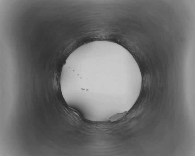 X0000111821202200908201124