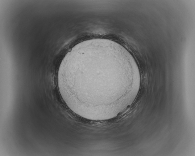 X0000111821205200908201124