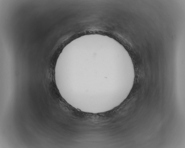 X0000111821207200908201124