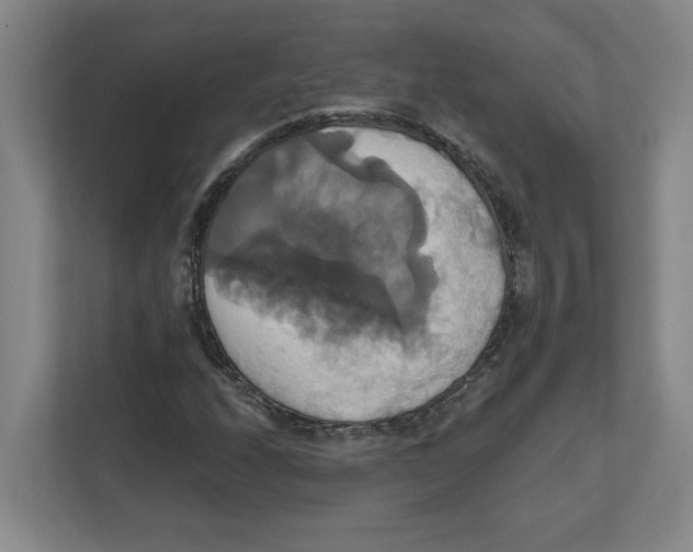 X0000111821208200908201124