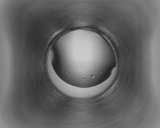 X0000111821210200908201124