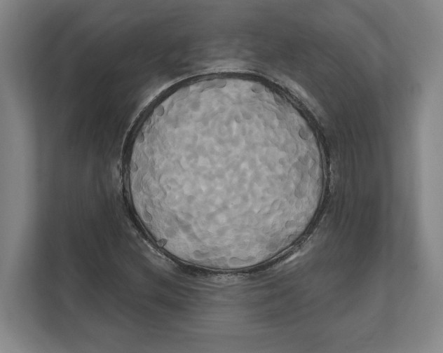 X0000111821212200908201124