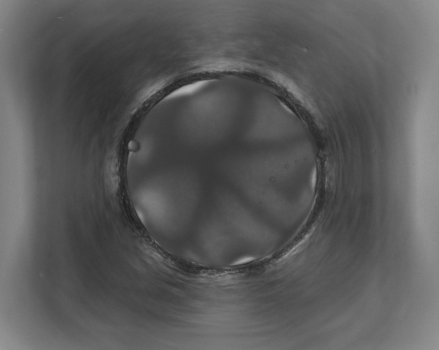 X0000111821213200908201124