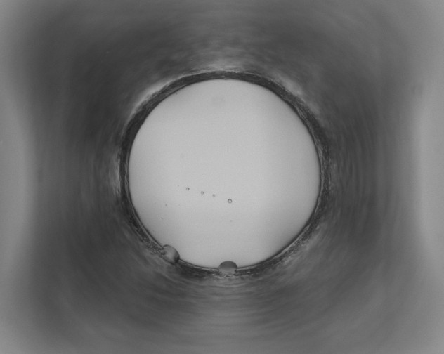 X0000111821214200908201124