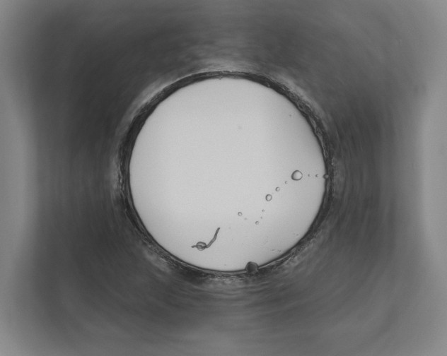 X0000111821215200908201124